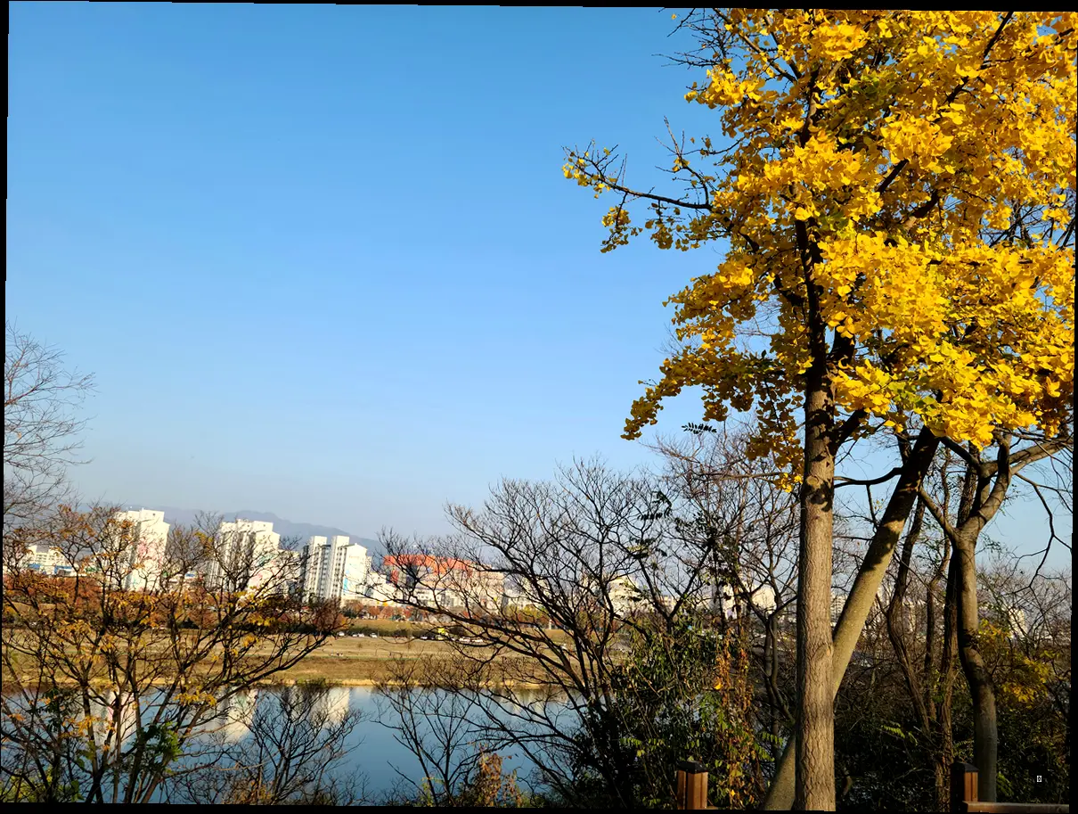 축제 하이라이트, 놓치면 땅 치고 후회할 것들! (표로 정리)