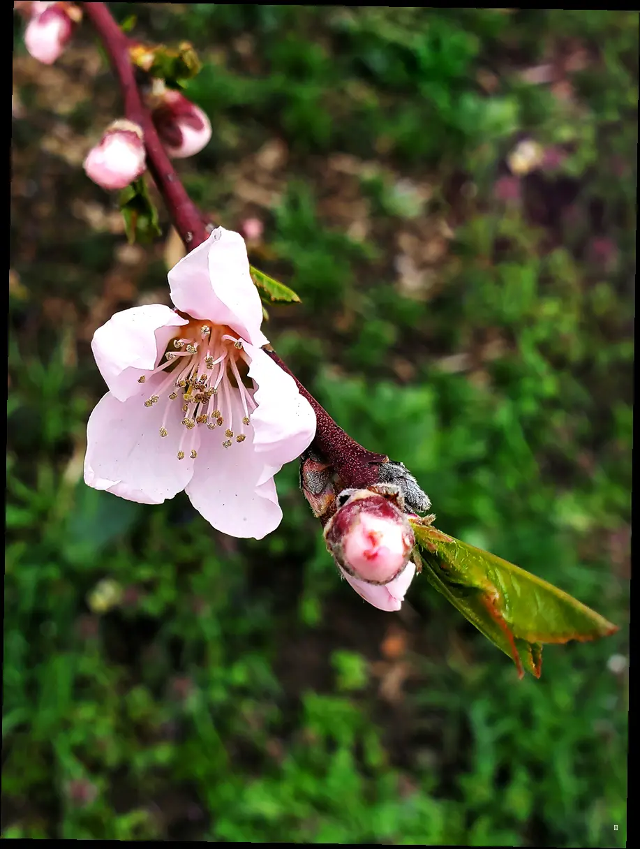 축제 완전 정복! 주요 행사 & 체험 프로그램 한눈에 보기 🌸