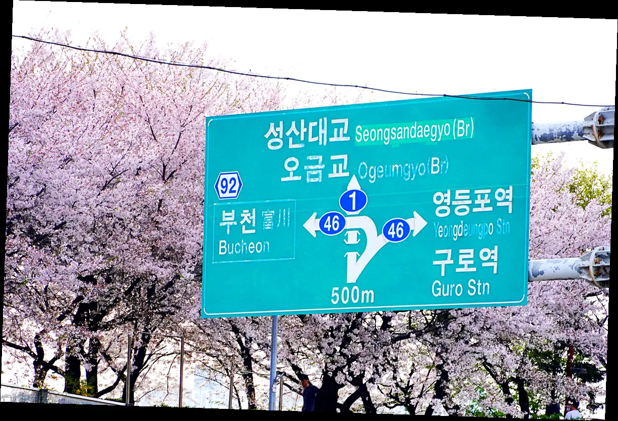 그래서, 언제 어떻게 할인받는데? 핵심 정보 요약!