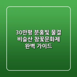 30만평 분홍빛 물결 비슬산 참꽃문화제 완벽 가이드
