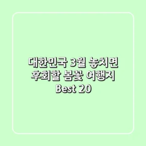 대한민국 3월 놓치면 후회할 봄꽃 여행지 Best 20