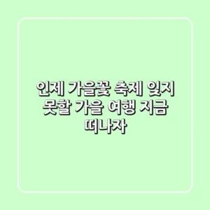 인제 가을꽃 축제: 잊지 못할 가을 여행, 지금 떠나자!