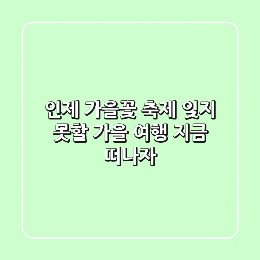인제 가을꽃 축제: 잊지 못할 가을 여행, 지금 떠나자!