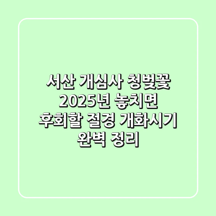 서산 개심사 청벚꽃, 2025년 놓치면 후회할 절경! 개화시기 완벽 정리