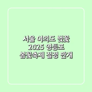 서울 여의도 벚꽃, 2025 영등포 봄꽃축제 절정 만개!