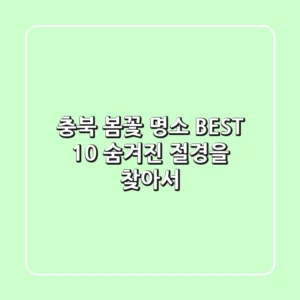 충북 봄꽃 명소 BEST 10: 숨겨진 절경을 찾아서