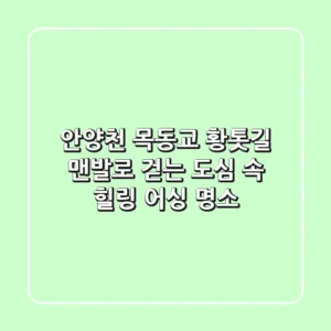 안양천 목동교 황톳길: 맨발로 걷는 도심 속 힐링 어싱 명소