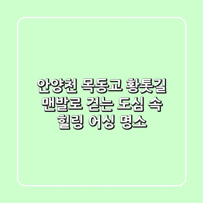 안양천 목동교 황톳길: 맨발로 걷는 도심 속 힐링 어싱 명소