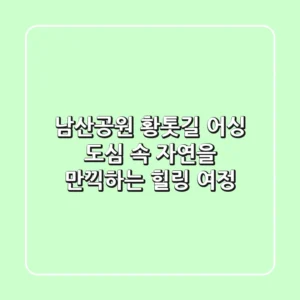남산공원 황톳길 어싱: 도심 속 자연을 만끽하는 힐링 여정