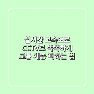 실시간 고속도로 CCTV로 똑똑하게 교통 체증 피하는 법