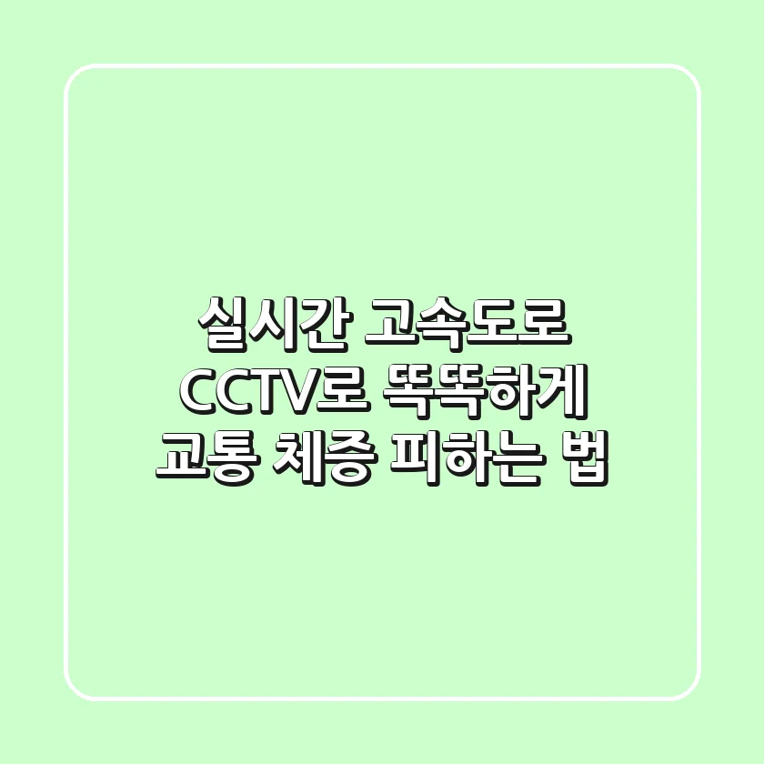 실시간 고속도로 CCTV로 똑똑하게 교통 체증 피하는 법