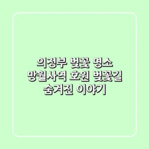 의정부 벚꽃 명소: 망월사역 호원 벚꽃길 숨겨진 이야기