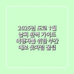 2025년 도쿄 1월 날씨 완벽 가이드: 여행자를 위한 주간 예보 & 옷차림 꿀팁