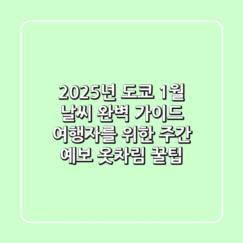 2025년 도쿄 1월 날씨 완벽 가이드: 여행자를 위한 주간 예보 & 옷차림 꿀팁