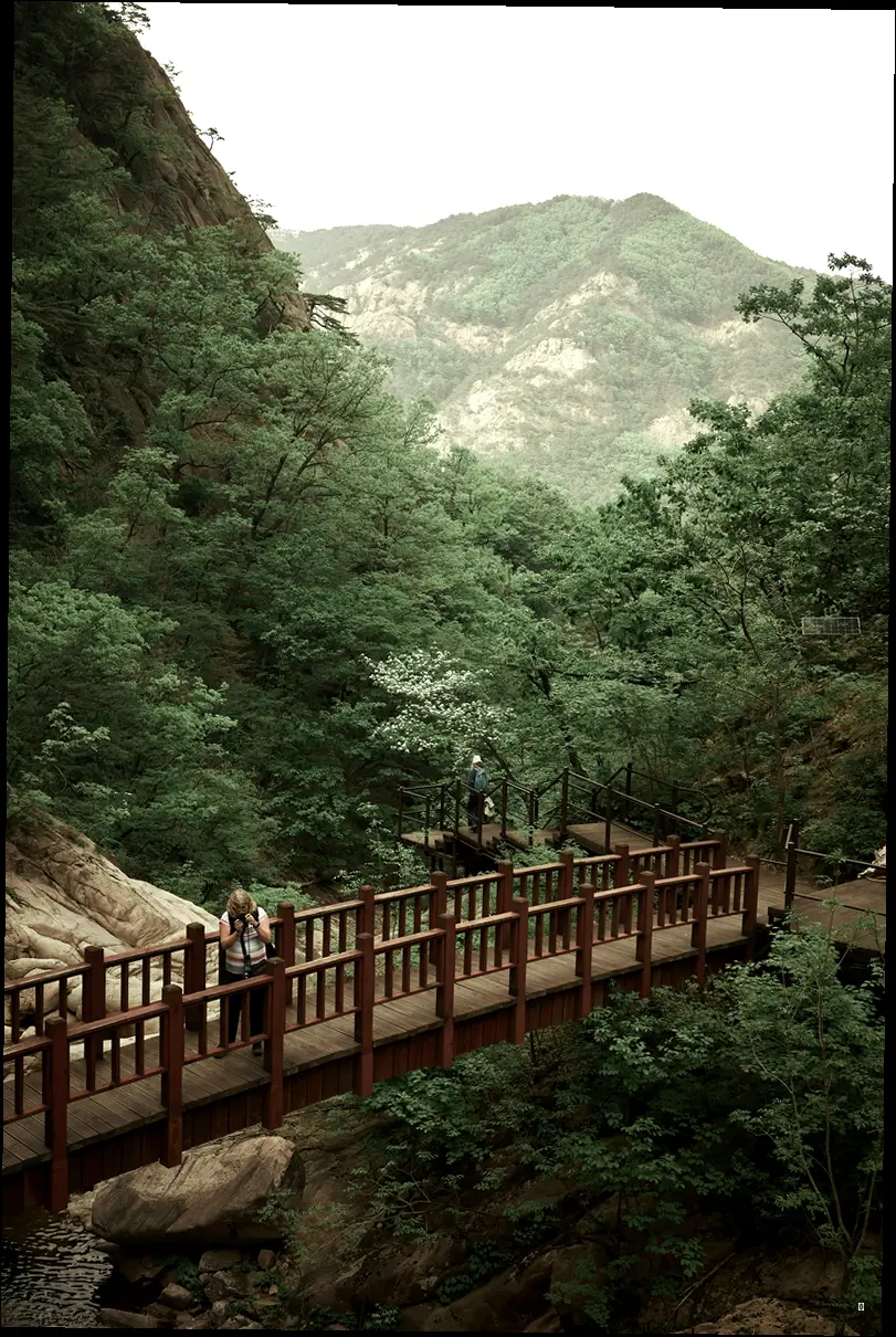 바다와 신비의 공간: 강원 양양 동호해변 & 경남 하동 삼성궁