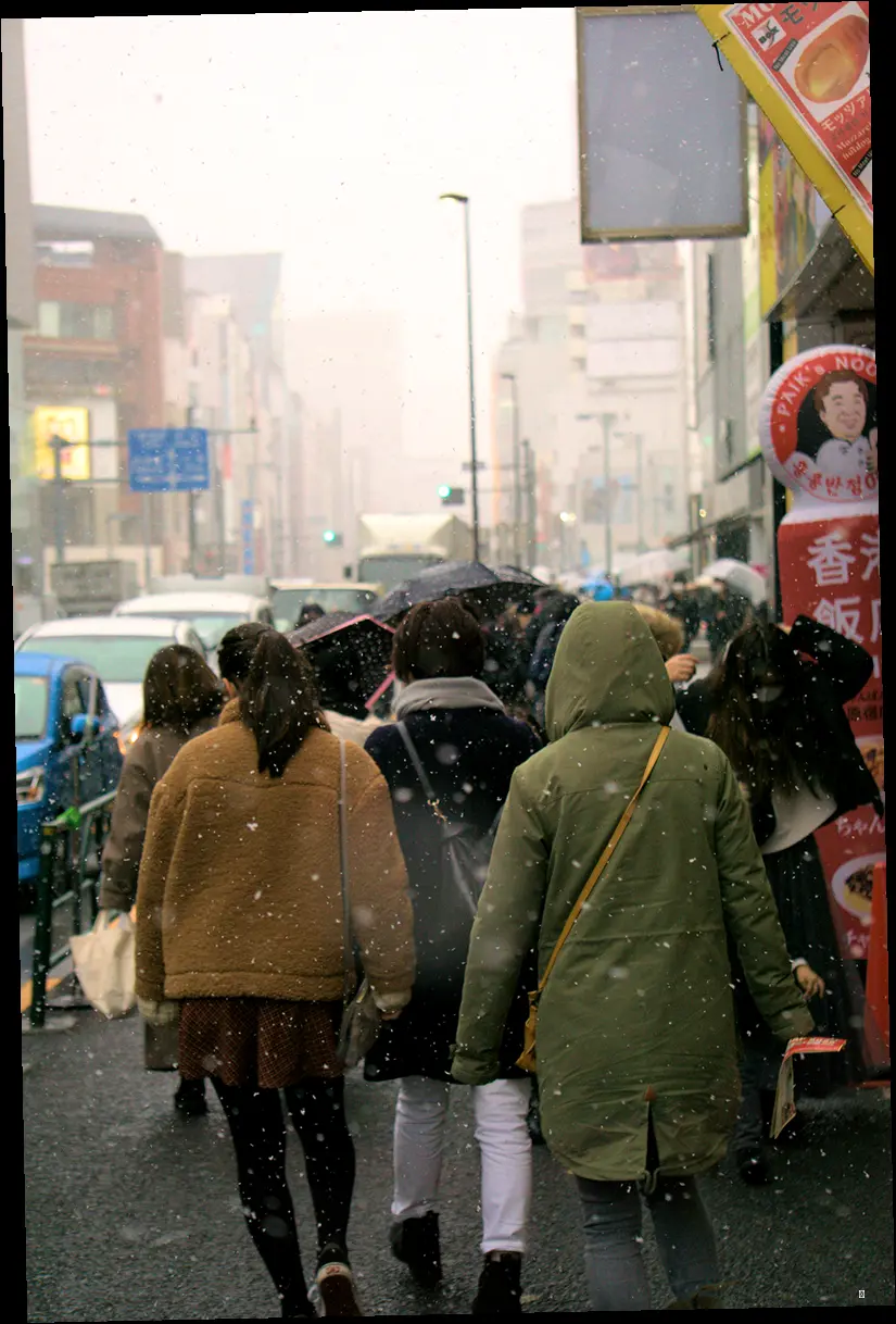 4. 스타일과 보온, 두 마리 토끼를 잡는 코디 꿀팁 🐰