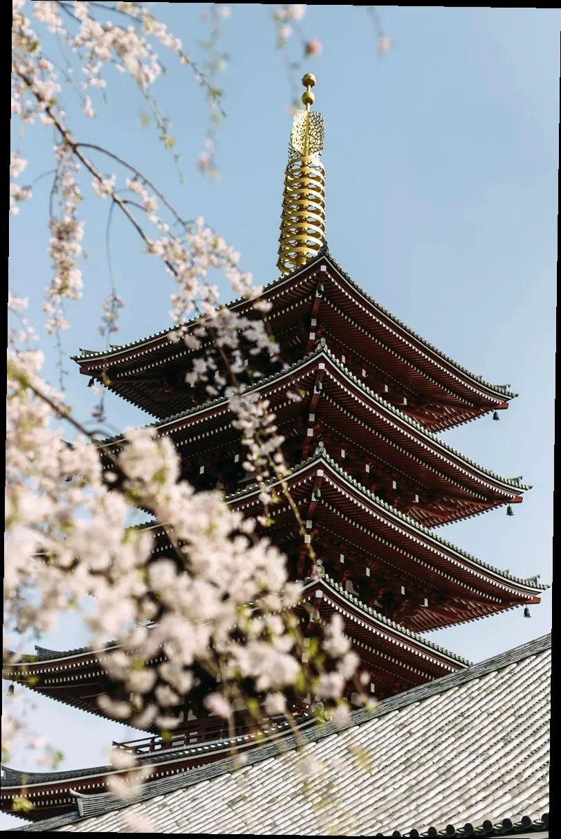 비짓재팬 웹(Visit Japan Web) 사용법, 완전 정복! 😎