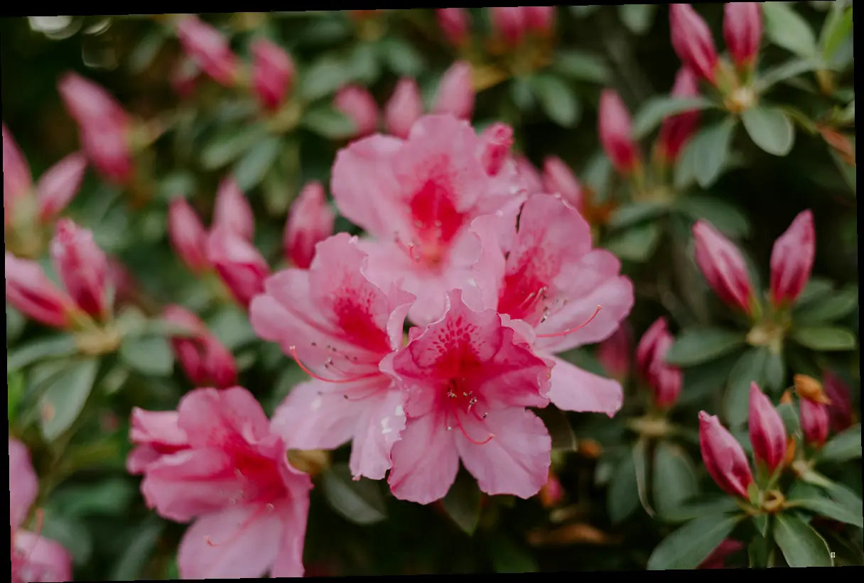축제 정보 한눈에 보기! 꿀팁 대방출!