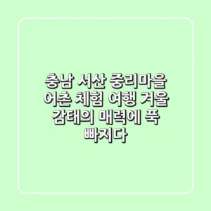충남 서산 중리마을 어촌 체험 여행: 겨울 감태의 매력에 푹 빠지다!