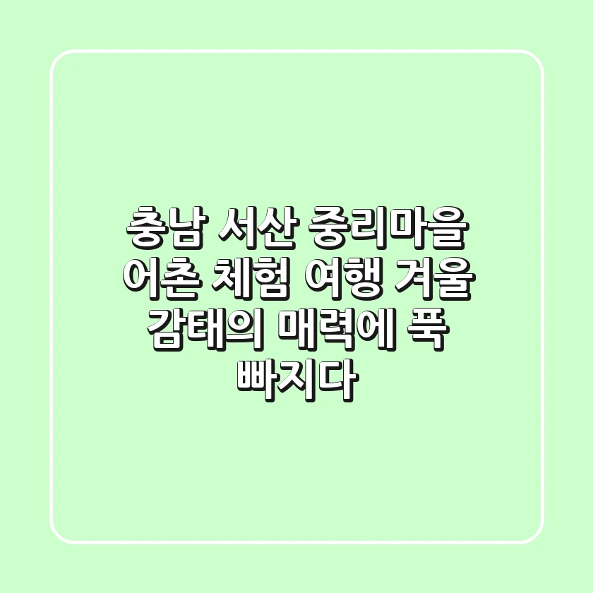충남 서산 중리마을 어촌 체험 여행: 겨울 감태의 매력에 푹 빠지다!