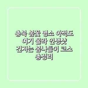 🌸 충북 봄꽃 명소, 아직도 여기 몰라? 인생샷 건지는 봄나들이 코스 총정리!
