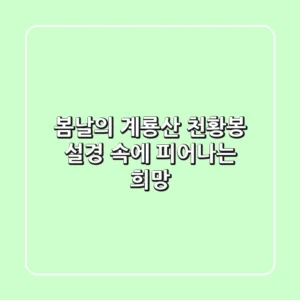 봄날의 계룡산 천황봉, 설경 속에 피어나는 희망