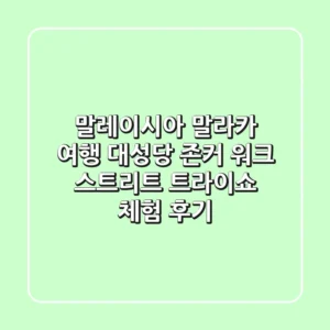 말레이시아 말라카 여행: 대성당, 존커 워크 스트리트 & 트라이쇼 체험 후기