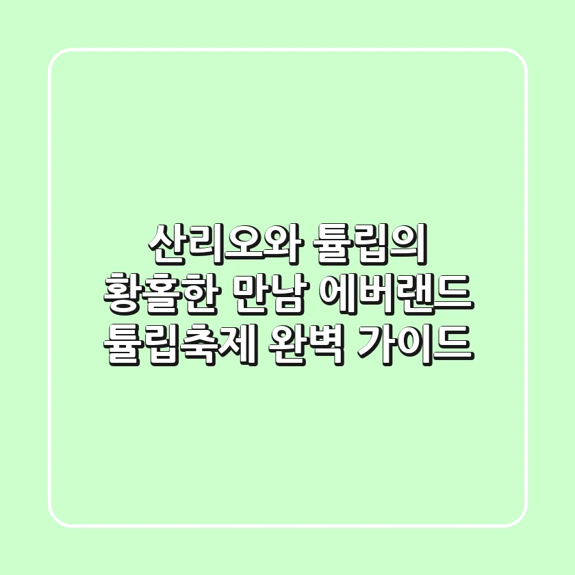 산리오와 튤립의 황홀한 만남: 에버랜드 튤립축제 완벽 가이드