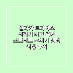말라카 트라이쇼 인력거 타고 존커 스트리트 누비기! 생생 여행 후기