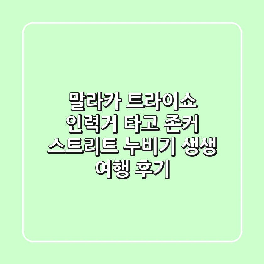 말라카 트라이쇼 인력거 타고 존커 스트리트 누비기! 생생 여행 후기
