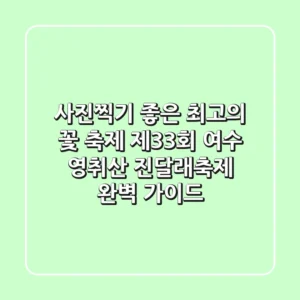 사진찍기 좋은 최고의 꽃 축제! 제33회 여수 영취산 진달래축제 완벽 가이드
