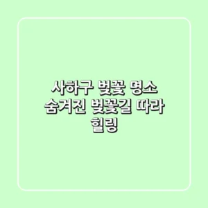 사하구 벚꽃 명소: 숨겨진 벚꽃길 따라 힐링🌸