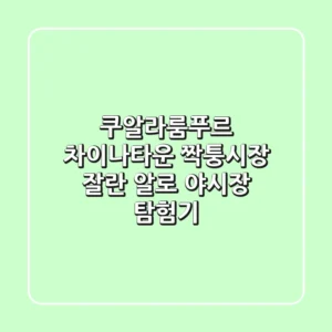 쿠알라룸푸르 차이나타운 짝퉁시장 & 잘란 알로 야시장 탐험기