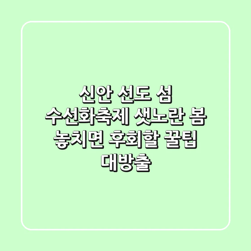신안 선도 섬 수선화축제: 샛노란 봄, 놓치면 후회할 꿀팁 대방출!