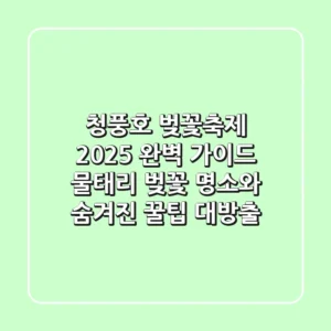 청풍호 벚꽃축제 2025 완벽 가이드: 물태리 벚꽃 명소와 숨겨진 꿀팁 대방출!