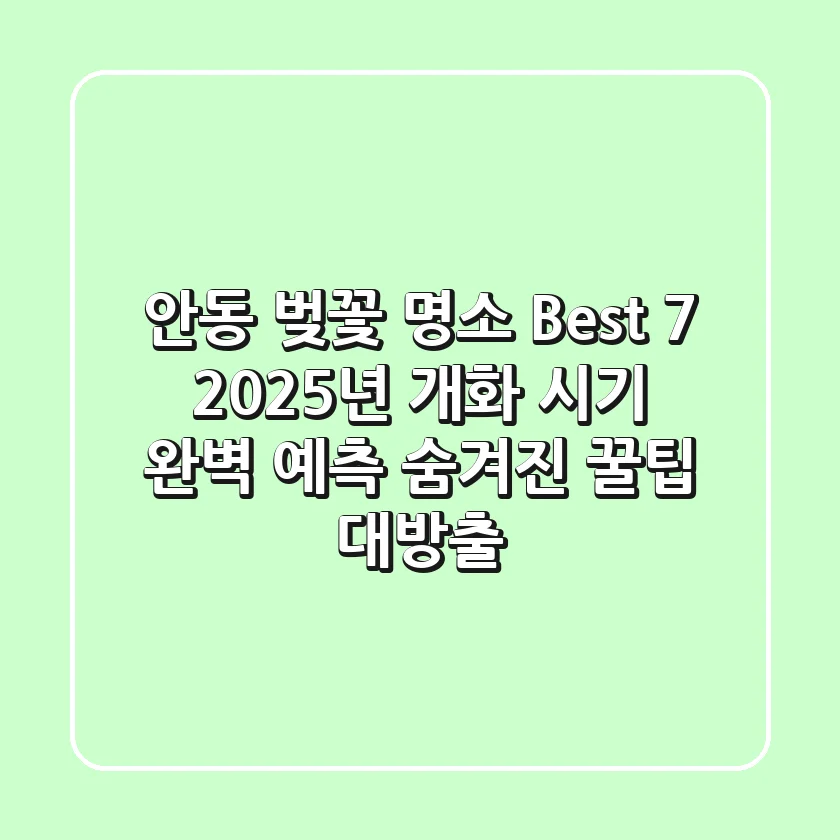 안동 벚꽃 명소 Best 7! 2025년 개화 시기 완벽 예측 (숨겨진 꿀팁 대방출)