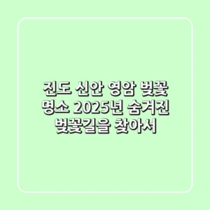 진도, 신안, 영암 벚꽃 명소: 2025년 숨겨진 벚꽃길을 찾아서