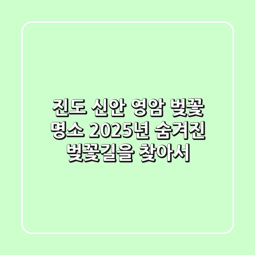 진도, 신안, 영암 벚꽃 명소: 2025년 숨겨진 벚꽃길을 찾아서