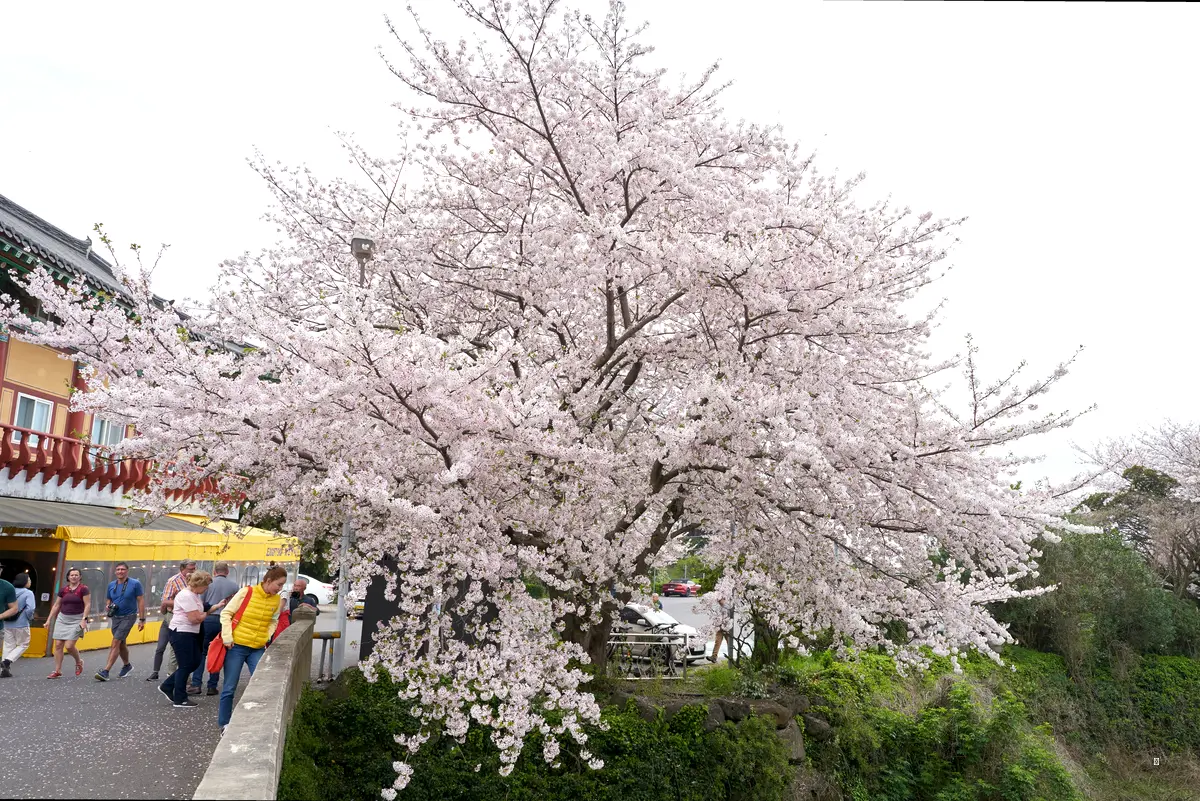 축제 정보 한눈에 보기