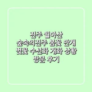 진주 월아산 숲속의진주: 봄꽃 만개! 벚꽃, 수선화 개화 상황 & 방문 후기