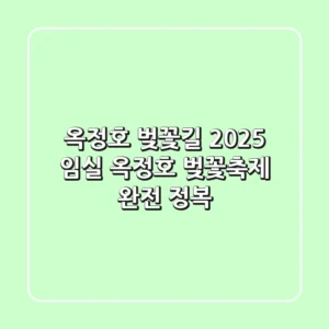 옥정호 벚꽃길: 2025 임실 옥정호 벚꽃축제 완전 정복! 🌸