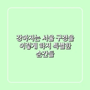 강아지는 서울 구경을 이렇게 하지: 특별한 순간들