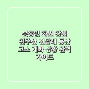 분홍빛 화원, 창원 천주산 진달래 등산: 코스, 개화 상황 완벽 가이드