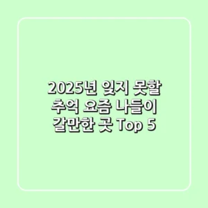 2025년, 잊지 못할 추억! 요즘 나들이 갈만한 곳 Top 5 ✨