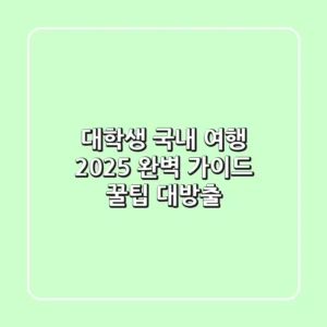 대학생 국내 여행, 2025 완벽 가이드: 꿀팁 대방출!