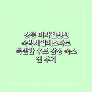 강릉 미라벨펜션: 숙박세일페스타로 득템한 우드 감성 숙소 찐 후기
