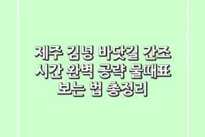 제주 김녕 바닷길 간조 시간 완벽 공략! 물때표 보는 법 총정리