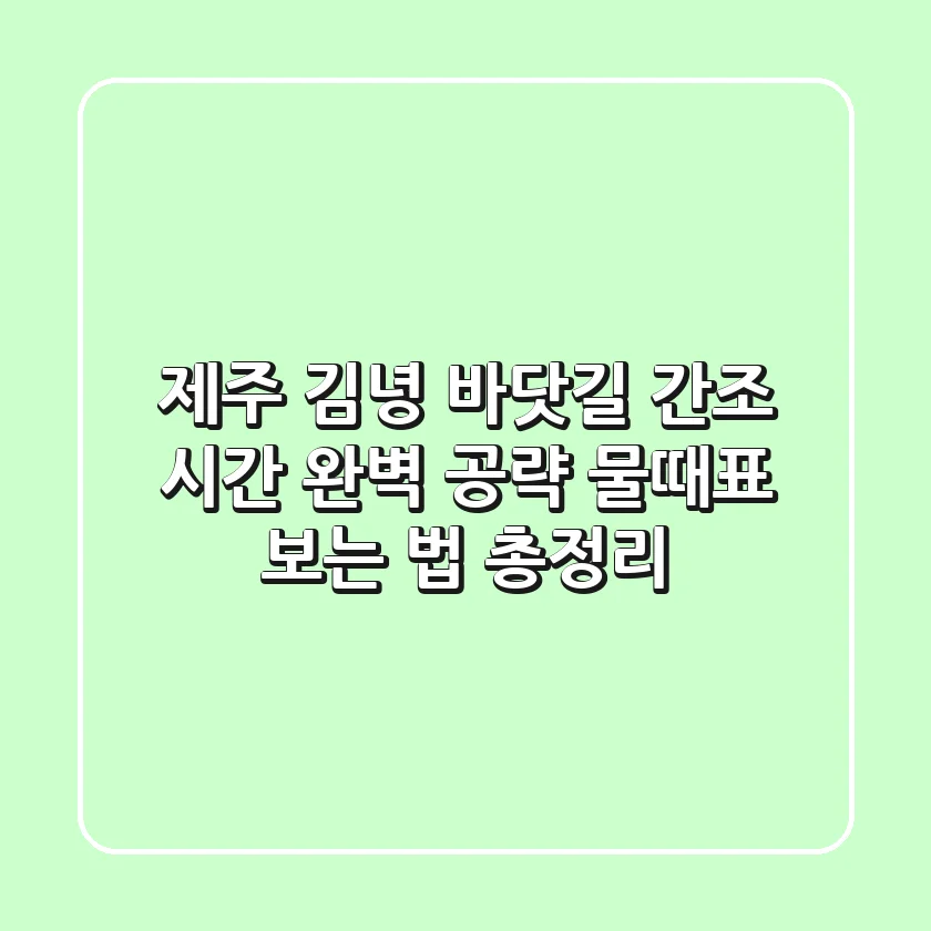 제주 김녕 바닷길 간조 시간 완벽 공략! 물때표 보는 법 총정리
