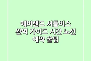 에버랜드 셔틀버스 완벽 가이드: 시간, 노선, 예약 꿀팁!