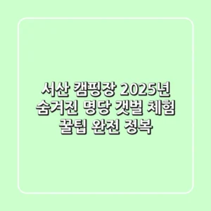 서산 캠핑장: 2025년 숨겨진 명당 & 갯벌 체험 꿀팁 완전 정복